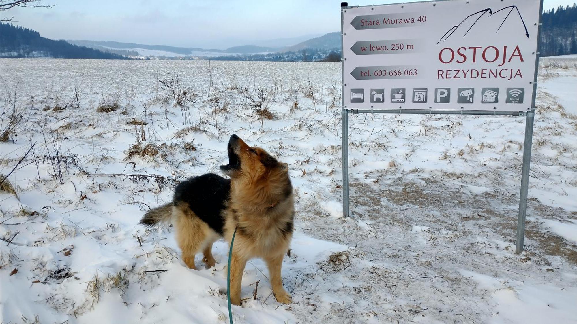 Rezydencja Ostoja Stronie Śląskie 外观 照片